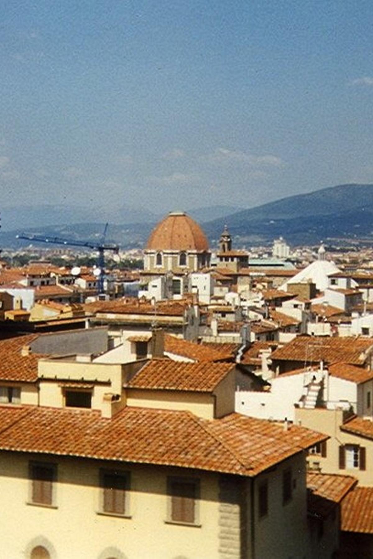 Florence Italy skyline