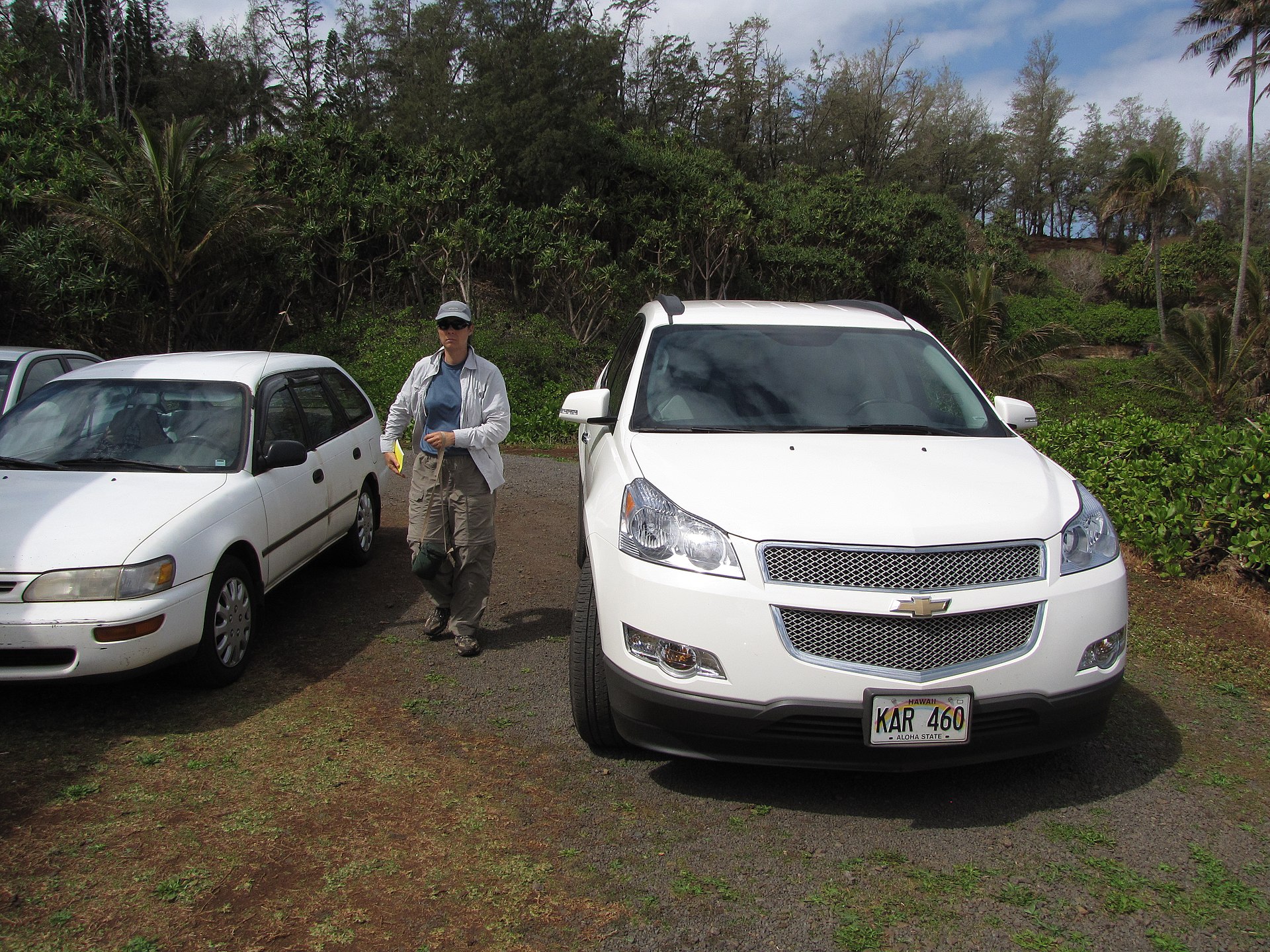 Hawaii rental car coastal road